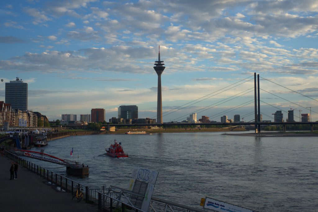 In der Hundetagesstätte Düsseldorf verbringen Vierbeiner einen spannenden Tag 